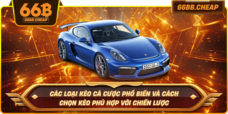 Các loại kèo cá cược phổ biến và cách chọn kèo phù hợp với chiến lược